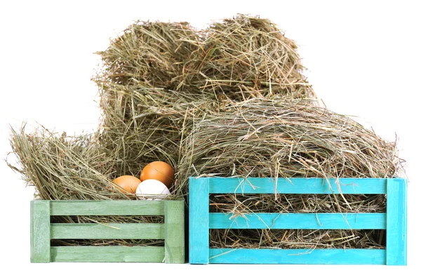 Hay dalam peti kayu dengan telur, terisolasi di atas putih — Stok Foto