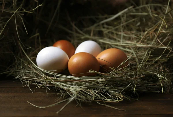 卵、干し草をクローズ アップ — ストック写真