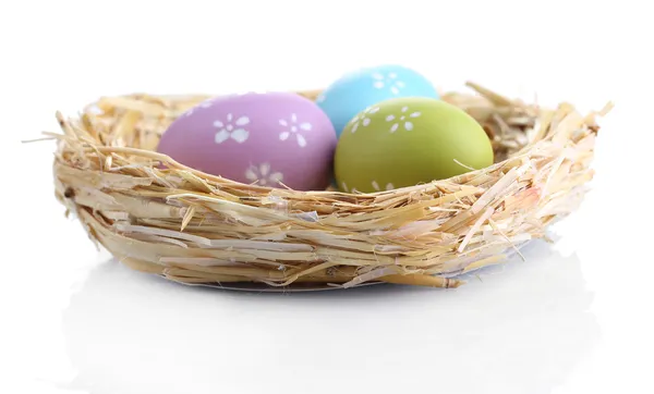 Huevos de Pascua en nido aislados en blanco —  Fotos de Stock