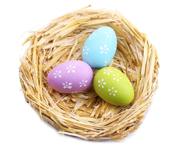 Easter eggs in nest isolated on white — Stock Photo, Image