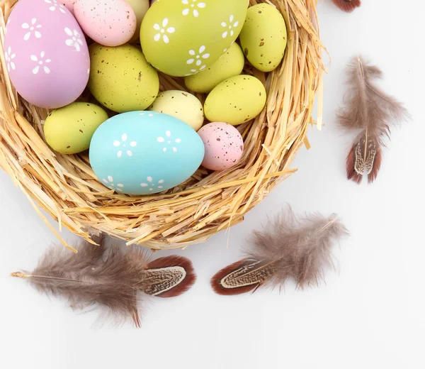 Œufs de Pâques en nid et plumes décoratives, isolés sur blanc — Photo