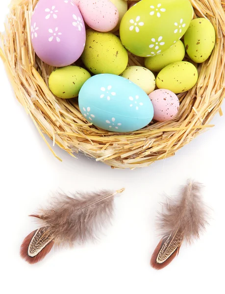 Пасхальные яйца в гнезде и декоративные перья, изолированные на белом — стоковое фото