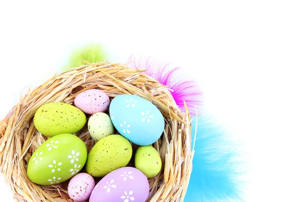 Easter eggs in nest and decorative feathers, isolated on white — Stock Photo, Image