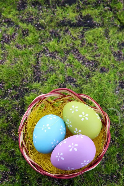 Huevos de Pascua en el nido sobre hierba verde fondo — Foto de Stock