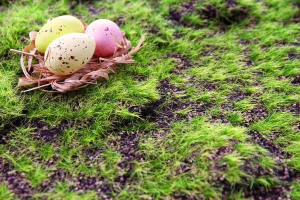 Wielkanocne jaja w gnieździe na tle zielonej trawie — Zdjęcie stockowe