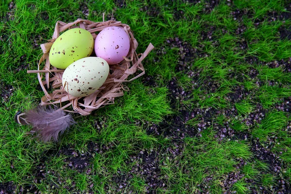 Uova di Pasqua in nido su sfondo erba verde — Foto Stock