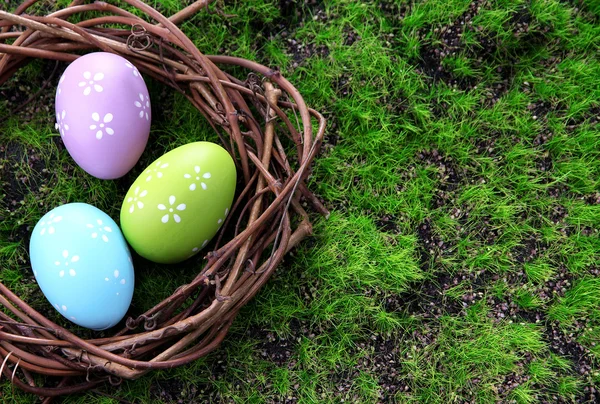 Huevos de Pascua en el nido sobre hierba verde fondo — Foto de Stock