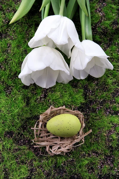 Velikonoční vejce v hnízdě na zelené trávě pozadí — Stock fotografie