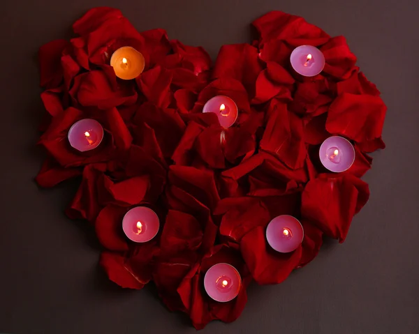 Beautiful red rose petals with candles on grey background Royalty Free Stock Photos