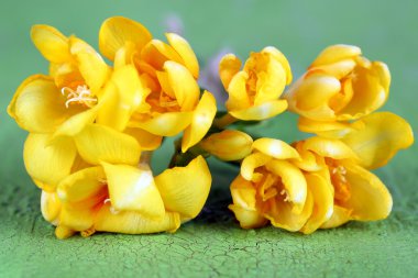 güzel Frezya ahşap tablo