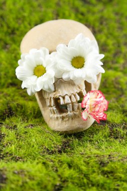 kafatası ile yeşil çim zemin çiçek