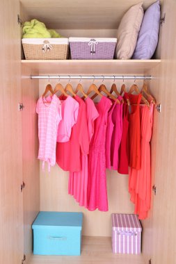 Female clothes on hangers in wardrobe