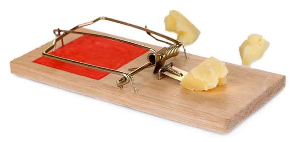 Ratonera con queso aislado sobre blanco — Foto de Stock