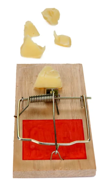 Mousetrap com queijo isolado em branco — Fotografia de Stock