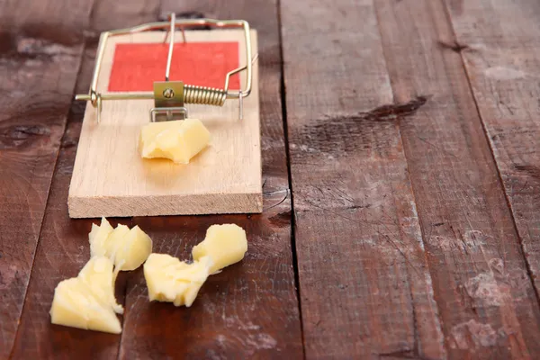 Ratonera con queso sobre fondo de madera — Foto de Stock