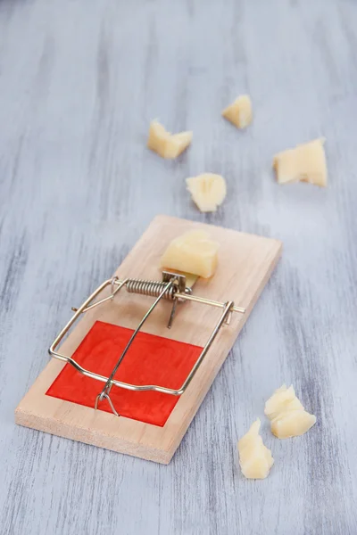 Mousetrap com queijo sobre fundo de madeira — Fotografia de Stock