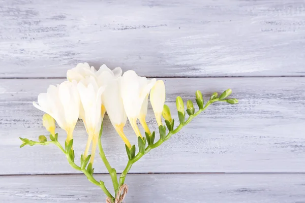 Beautiful freesias on wooden table — Stock Photo, Image