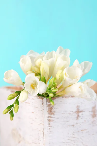 Beautiful freesias in wooden box, on blue background — Stock Photo, Image