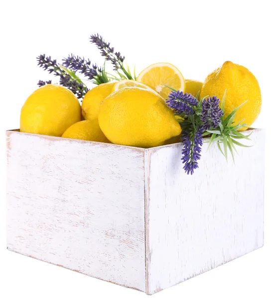 新鲜的柠檬与薰衣草，孤立的白色衬底上的静物 — 图库照片
