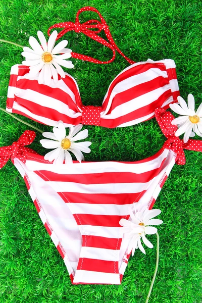 Swimsuit on green grass background — Stock Photo, Image