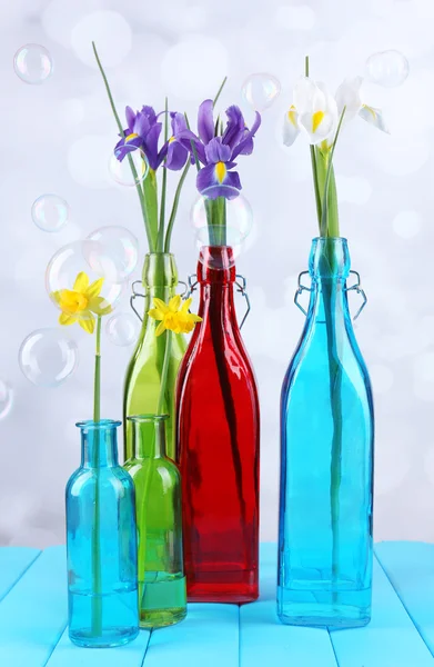 Beautiful irises and daffodils in bottles, on light background — Stock Photo, Image