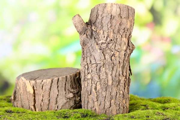 Stümpfe auf grünem Gras, auf Naturhintergrund — Stockfoto