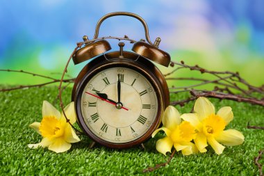 çalar saat doğa zemin üzerine yeşil çimenlerin üzerinde
