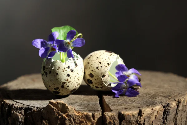 Великодня композиція з фіолетовими квітами в яєчних мушлях, крупним планом — стокове фото