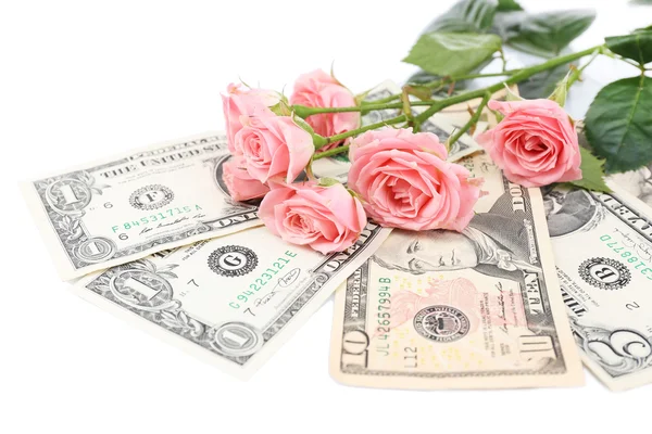 Beautiful roses and money, isolated on white — Stock Photo, Image