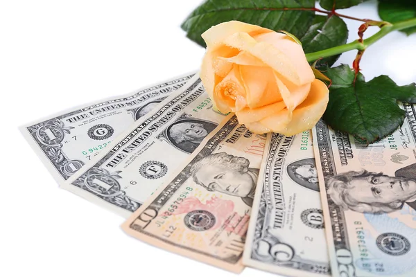 Beautiful rose and money, isolated on white — Stock Photo, Image