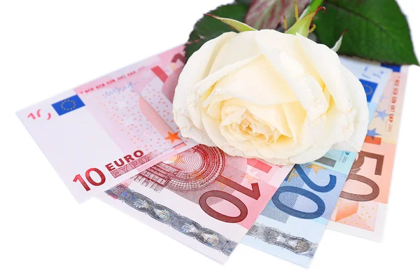 Beautiful rose and money, isolated on white — Stock Photo, Image