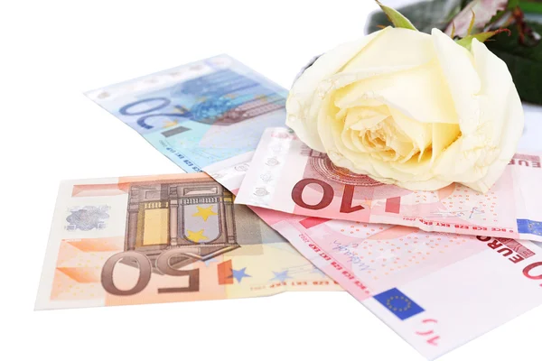 美丽的玫瑰和白色衬底上分离出的钱 — 图库照片