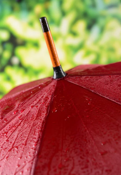 Red Umbrella on bright background — Stock Photo, Image