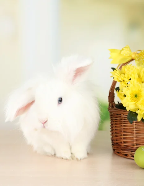 Beyaz sevimli tavşan ve çiçek sepeti — Stok fotoğraf