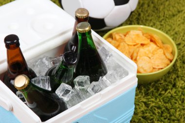 Buzluğu tam renkli Halı zemin üzerine şişe içecek