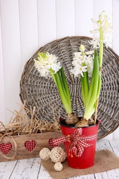 White hyacinth in pot with decorative box on table on wooden background — Stock Photo, Image