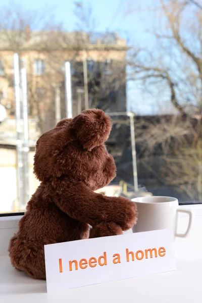 Toy-bear looking out window close-up — Stock Photo, Image