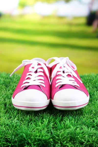 Beautiful gumshoes on green grass, on bright background — Stock Photo, Image