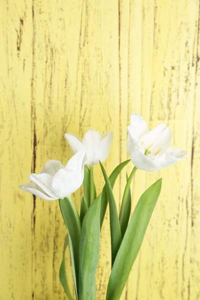 Piękne tulipany na drewnianym tle — Zdjęcie stockowe