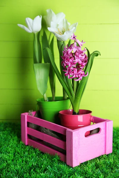 Красиві тюльпани і квітка гіацинта на дерев'яній коробці на кольоровому дерев'яному фоні — стокове фото