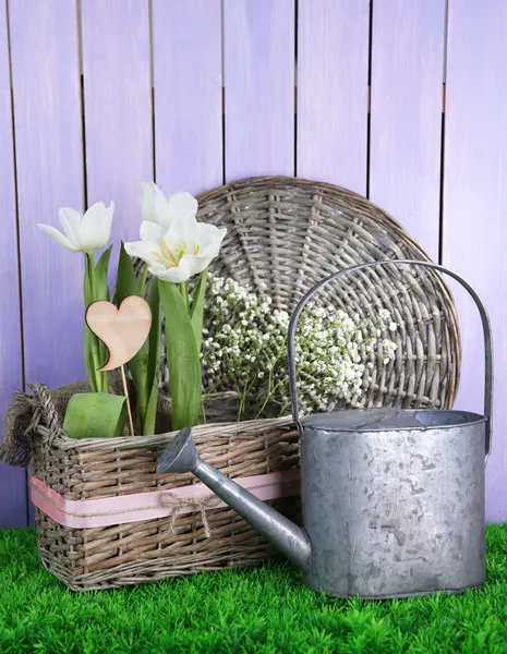 Vacker hyacint blomma i flätad korg, på grönt gräs på färg trä bakgrund — Stockfoto