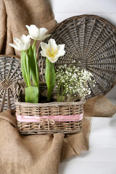 Beautiful tulips in wicker basket, on color wooden background — Stock Photo, Image