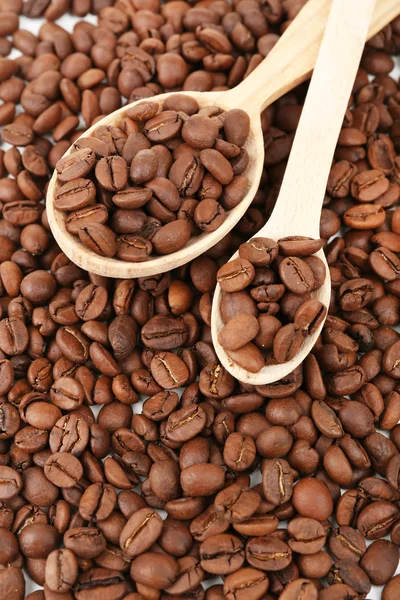 Kaffebönor närbild — Stockfoto