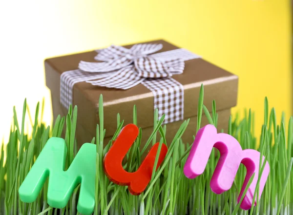 Geschenkbox für Mama auf Gras auf farbigem Hintergrund — Stockfoto