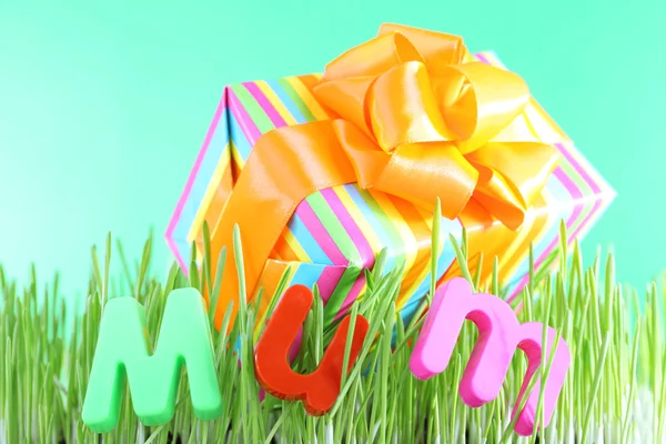 Geschenkbox für Mama auf Gras auf farbigem Hintergrund — Stockfoto