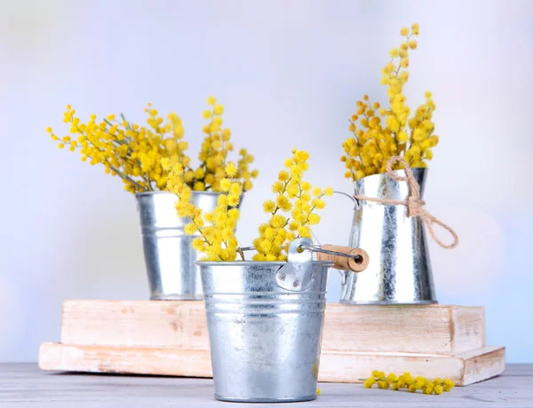 Twigs of mimosa flowers in pails on wooden table — Stock Photo, Image