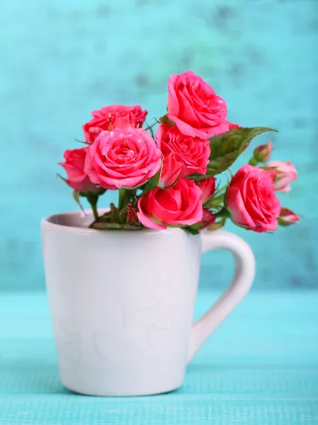 Beautiful small pink roses, on blue background — Stock Photo, Image