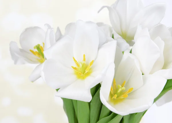 Belo buquê de tulipas brancas na mesa no fundo claro — Fotografia de Stock