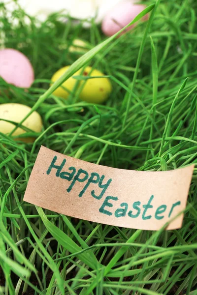 Easter eggs on green grass, close up — Stock Photo, Image