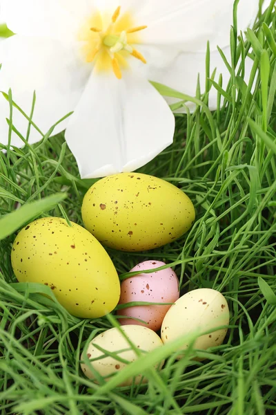 Påskägg på grönt gräs, närbild — Stockfoto